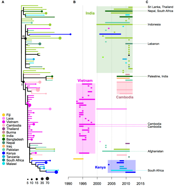 collapsed_tree_timelines2
