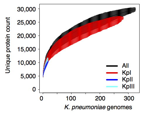 Kp_pan_genome