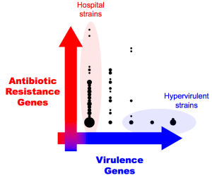 resistance-virulence-axis-2
