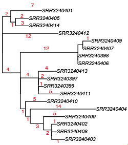 Screen Shot 2016-03-19 at 8.26.50 pm