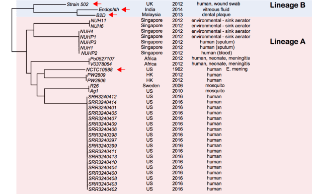 species_tree_with_NCTC10588