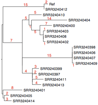 SRR3240412_RedDogTree