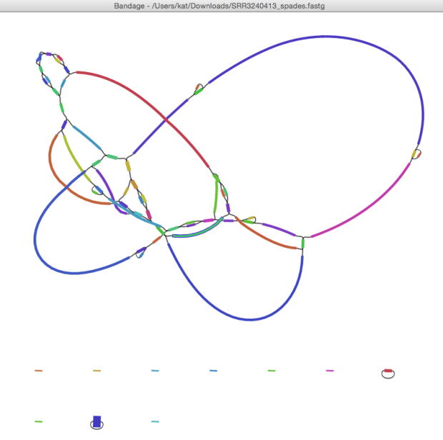 SRR3240413_bandage_graph