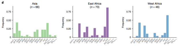 region gene prevalence