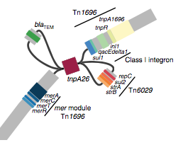 Screen Shot 2018-08-21 at 1.00.28 pm