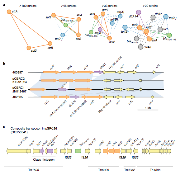 Screen Shot 2018-08-21 at 12.59.41 pm.png